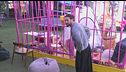 Nuove tensioni al risveglio: Alex Belli vs i ragazzi