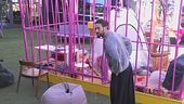 Nuove tensioni al risveglio: Alex Belli vs i ragazzi