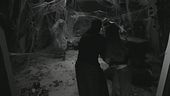 I VIP a prova di paura per un brindisi in Localino