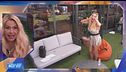 "Money Money" e il tormentone di Valeria