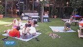 Il picnic dei Vip