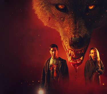 Coyotes