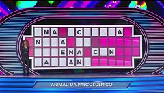 Campioni della Musica: Il Regno degli Animali - Animali da palcoscenico