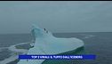 Top 3 virali: il tuffo dall'iceberg