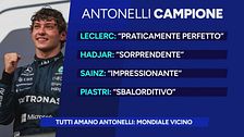 Tutti amano Antonelli