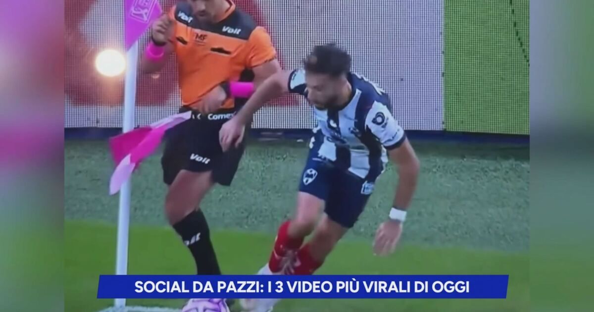 SportMediaset: Social da pazzi: i 3 video più virali di oggi Video ...
