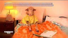 Desolina e Gian Daniele