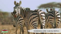 Anticipazione seconda puntata