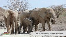 Anticipazione terza puntata - Africa e Oceano Indiano