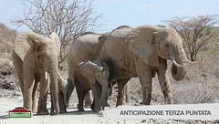 Anticipazione terza puntata - Africa e Oceano Indiano