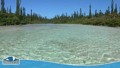 Nuova Caledonia, Ouvèa, Lifou e Marè