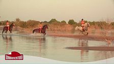 Abu Dhabi "wild": tra deserto e riserve naturali