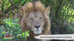 Anticipazione quinta puntata