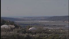 Vittoria: frutta e verdura in serra