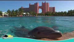 Bahamas: un panorama straordinario