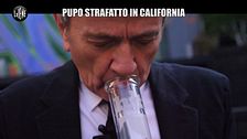 Pupo strafatto in California, il suo primo bong