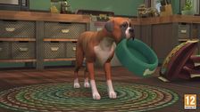 The Sims 4 Cani & Gatti