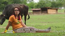 Giulia, Anna, Elena, Francesco