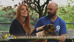 Matilda, uno splendore in cerca di famiglia