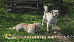 Pinky e Tara, amano il contatto fisico