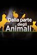 Stella, morbidissima e docile