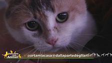 Dorotea, una vera dolcezza