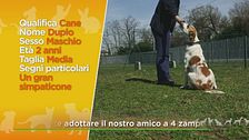 Duplo, un gran simpaticone
