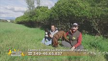 Lino e Lina da Catania