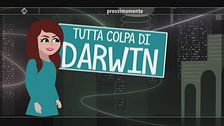 Tutta colpa di Darwin, con Annalisa