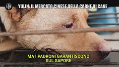 Yulin, il crudele mercato della carne di cane a Le Iene