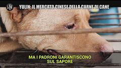 Yulin, il crudele mercato della carne di cane a Le Iene