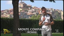 DEGRADO PER GATTI E NON SOLO