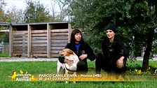 Lola e Daniel