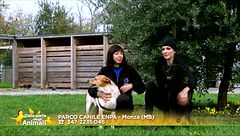 Lola e Daniel