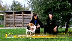 Lola e Daniel