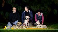 Fiocco, Tasha e Willy