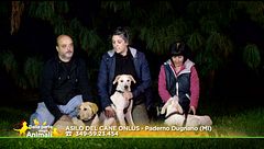 Fiocco, Tasha e Willy