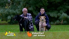 Volontari per amore