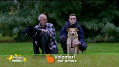 Volontari per amore