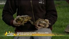 Nino e Nina