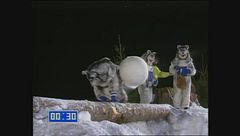 Le supercadute degli uomini husky nel gioco di Bellezze sulla neve