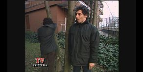 TV Svizzera: Rezzonico rischia la vita giocando a nascondino
