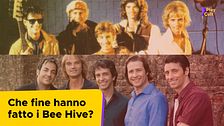 Che fine hanno fatto i Bee Hive?