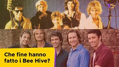 Che fine hanno fatto i Bee Hive?