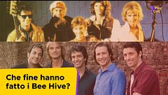 Che fine hanno fatto i Bee Hive?