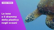 Le Iene e il dramma della plastica negli oceani