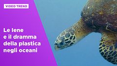 Le Iene e il dramma della plastica negli oceani