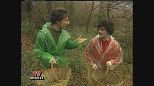 TV Svizzera: Rezzonico e Gervasoni vanno a funghi