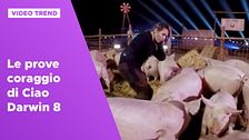Le prove coraggio di Ciao Darwin 8