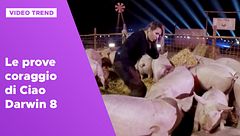 Le prove coraggio di Ciao Darwin 8